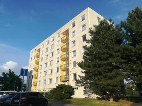 Prodej, byt 1+1, 35 m2, Pardubice, ul. Erno Košťála