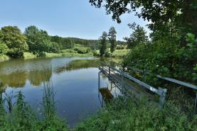 Prodej, rybníky, 34917 m2, Plzeň - Malesice