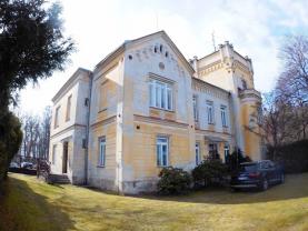 Prodej, zámek, 1180 m2, Střížovice