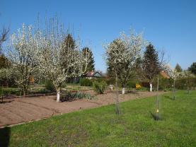 Prodej, zahrada, 428 m2, Louny