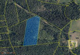 Prodej, les, 17700 m2, Stachy
