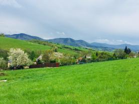 Prodej, louka, 7805 m2, Palkovice