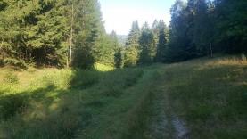 Prodej, louka a les, 5774 m2, Jirkov