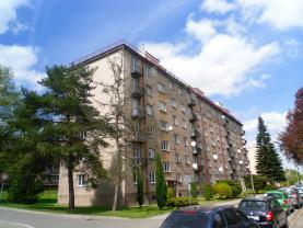Pronájem, byt 2+1, 57 m2, Chotěboř, ul. Smetanova