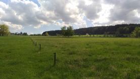 Prodej, pozemek, 11131 m2, Stachy