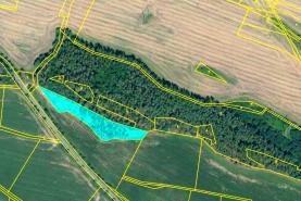 Prodej, les, 4640 m2, Dublovice
