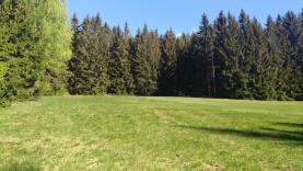 Prodej, les, 40397 m2, Volary - Cudrovice