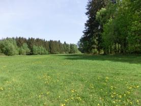 Prodej, pozemek 20562 m2, Hlinsko, Blatno u Hlinska