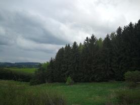 Prodej, les, 13530 m2, Rohozná u Poličky
