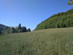 Prodej, pozemek, 11490 m2, Malá Skála