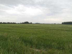 Prodej, orná půda, 31740 m2, Mladějovice