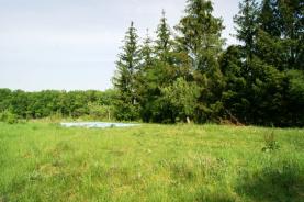 Prodej, ovocný sad, 3440m2, Býchory