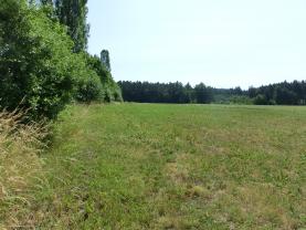 Prodej, stavební pozemek, 610 m2, Kladruby u Vlašimi