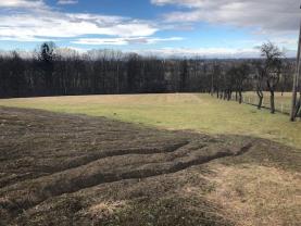 Prodej, zahrada, 4510 m2, Dolní Domaslavice