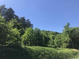 Prodej, stavební parcela, 6083 m2, Ludkovice