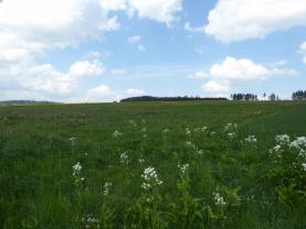 Prodej, pole, 15706 m2, Jankov - Čečkov