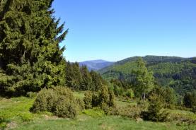 Prodej, louka, 22798 m2, Horní Lomná