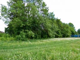 Prodej, stavební pozemek, 1042 m2, Sázavka