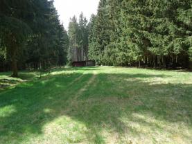 Prodej, pozemek, 4316 m2, Kameničky