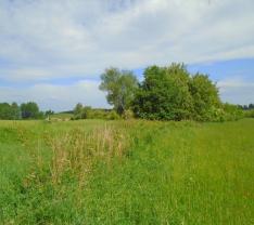 Prodej, pozemek, 1017 m2, Bohatice