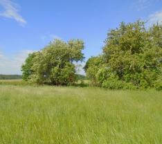 Prodej, pozemek, 1017 m2, Bohatice