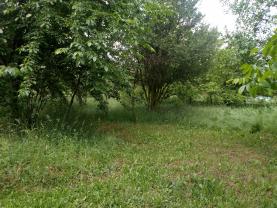 Prodej, zahrada, 1000 m2, Modřice