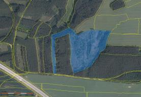 Prodej, les, 99301 m2, Benešovice - Lom u Stříbra