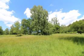Prodej, louka, 12563 m2, Cvikov, ul. Březová