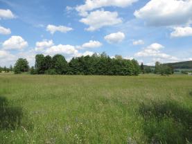 Prodej, louka, 2003m2 Příchovice