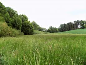 Prodej, Louka, 3061 m2, Jankov - Odlochovice