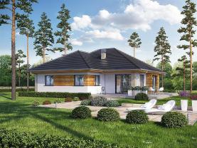 Prodej, Rodinný dům 4+1, 1044m2, Lkáň
