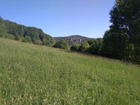 Prodej, pozemek, 3078 m2, Malá Skála