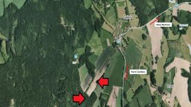 Prodej, les, 38.456 ha, Nový Rychnov