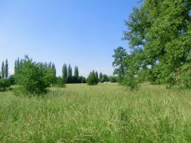 Prodej, pozemek 1370 m2, Bohumín - Vrbice