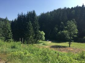 Prodej, pozemek, 2615 m2, Dolní Bušínov