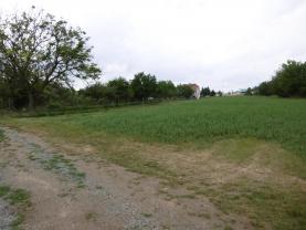 Prodej, pozemek, 4197 m2, Rajhrad