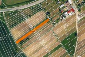 Prodej, vinice, 720 m2, Hrušky