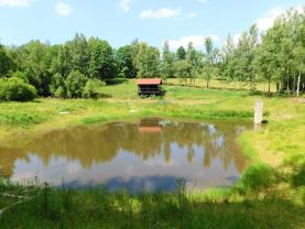 Prodej, vodní plocha, 7727 m2, Březová, Krásná Lípa