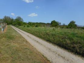 Prodej, orná půda, 1173 m2, Nové Bránice