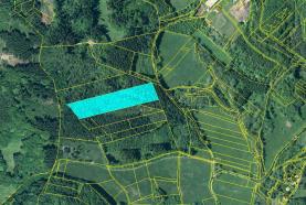 Prodej, les, 17851 m2, Třebušín