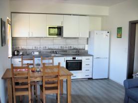 Prodej, byt 2+kk, 61 m2, Brno, ul. Pastviny