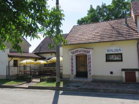 Prodej, vinný sklep s restaurací, Dolní Bojanovice