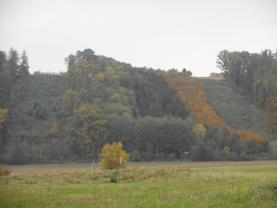 Prodej, les, 10970 m2, Lešná