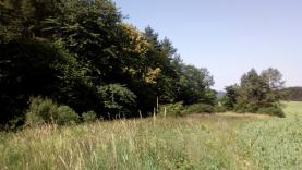 Prodej, louka, 2870 m2, Nepomuk - Vrčeň