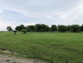 Prodej, stavební pozemek, 1000 m2, Srubec, ul. Zahradní