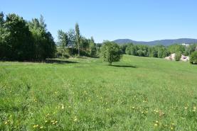 Prodej, pole, 38 534 m2, Liberec, Františkov u Liberce