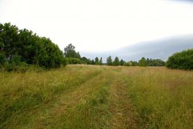Prodej pozemku, 12000 m2, Mariánské Lázně