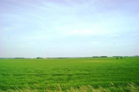 Prodej, orná půda, 67.395 m2, Hronětice