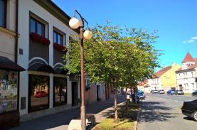Pronájem, obchodní prostory, 170 m2, Žebrák