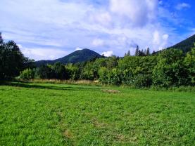 Prodej, stavební pozemek, 4200 m2, Ostravice